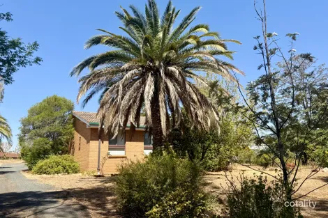 26 Fitches Lane, Grenfell, NSW 2810