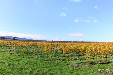 763 White Hills Rd, Evandale, TAS 7212