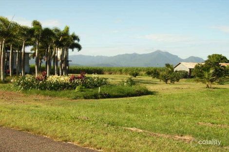 Property photo of 106 Neames Inlet Road Macknade QLD 4850