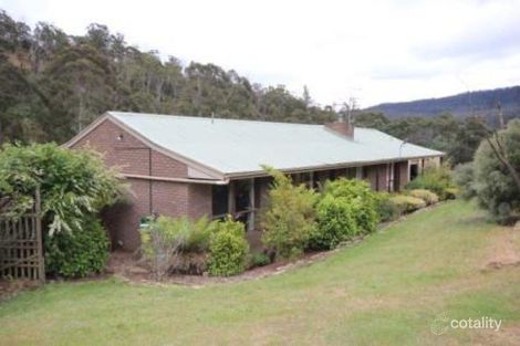 1129 Collins Cap Rd, Molesworth, TAS 7140