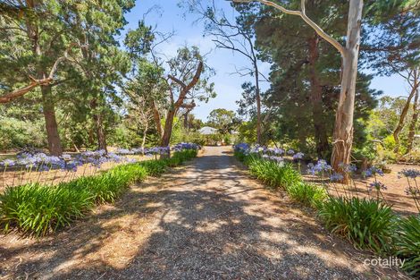 Property photo of 90 Addiscott Road Bellbrae VIC 3228