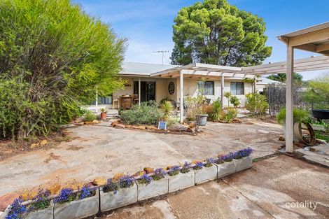Property photo of 20 Morris Street Loveday SA 5345