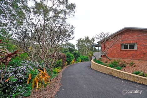Property photo of 7 Koala Court Bunya QLD 4055