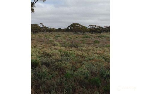 1105 Angle Rd, Brownlow, SA 5374