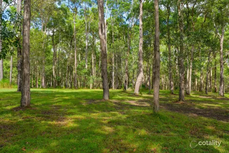 Property photo of 10 O'Keeffe Road Mothar Mountain QLD 4570