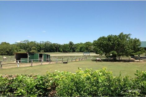 Property photo of 585 Glenview Road Glenview QLD 4553