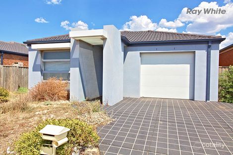 Property photo of 19 Storkbill Road Wyndham Vale VIC 3024