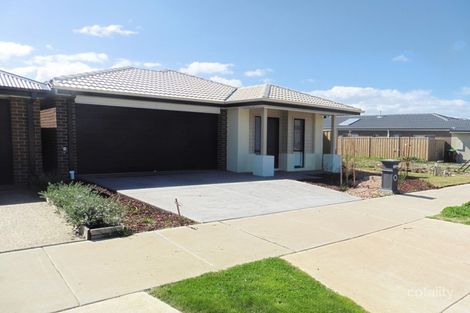 Property photo of 7 Verve Circuit Cranbourne West VIC 3977