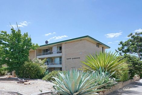 11/738 Beaufort St, Mount Lawley, WA 6050