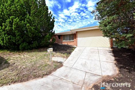 14 Loftia View, Clarkson, WA 6030