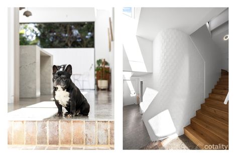 Property photo of 2 Philip Street Bondi NSW 2026