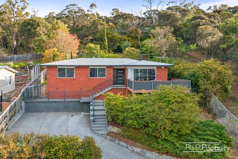 Property photo of 44 Walch Avenue Moonah TAS 7009