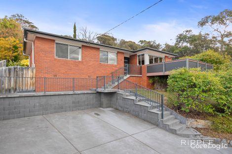 Property photo of 44 Walch Avenue Moonah TAS 7009