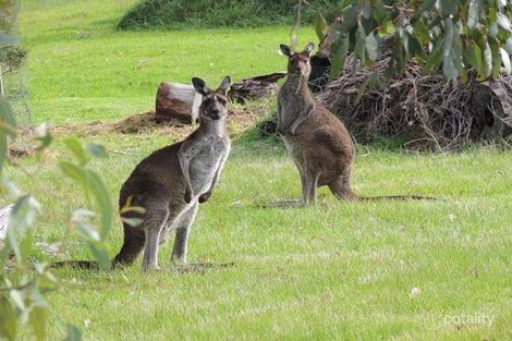 Property photo of 3 Jasper Place Shadforth WA 6333