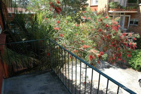 Property photo of 6/9 Grafton Crescent Dee Why NSW 2099