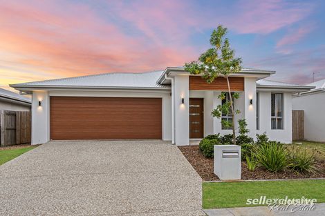8 Sunrise St, Newport, QLD 4020