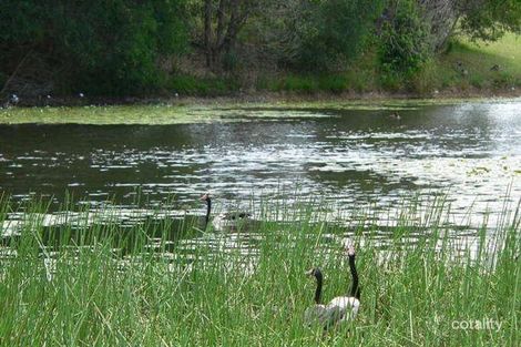 Property photo of 53 Lorikeet Lane Cooroy QLD 4563