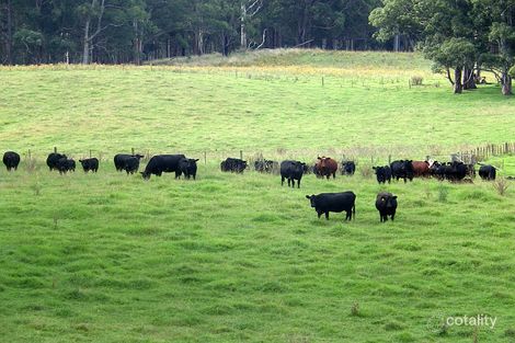 Property photo of 9408 Armidale Road Tyringham NSW 2453