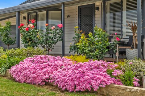 Property photo of 16 Areca Court Cobram VIC 3644