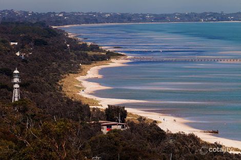 Property photo of 21 Burton Street Dromana VIC 3936
