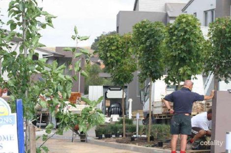 Property photo of 6/45 Dobbin Circuit Nicholls ACT 2913