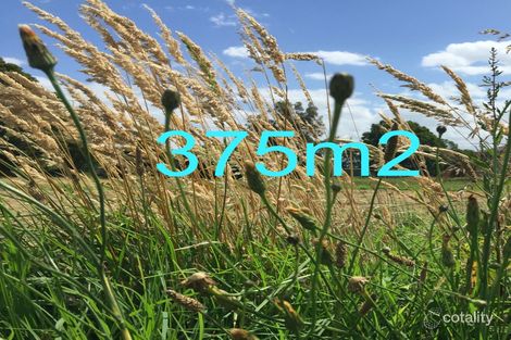 19 Rufous St, Longwarry, VIC 3816