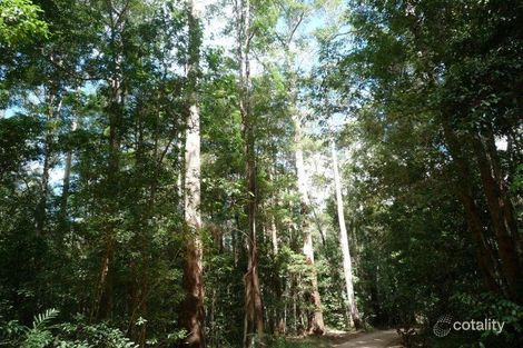 Property photo of 434 Yandina Cooloolabin Road Cooloolabin QLD 4560