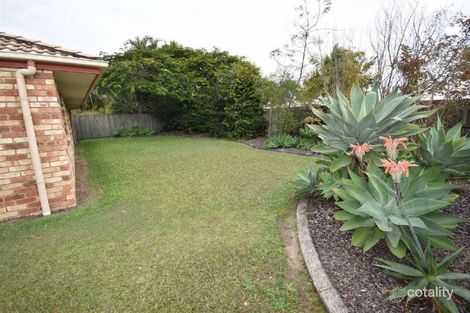 Property photo of 33 Tedford Drive Tewantin QLD 4565