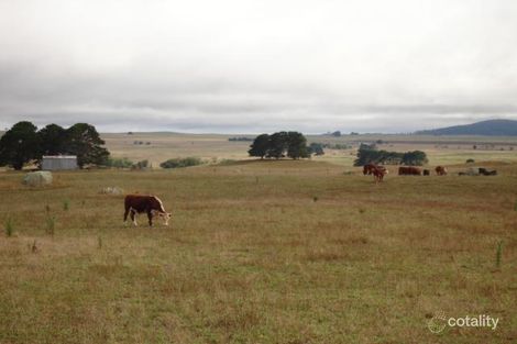 643 Monga Lane, Reidsdale, NSW 2622