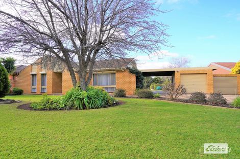 33 Clifton Bvd, Griffith, NSW 2680