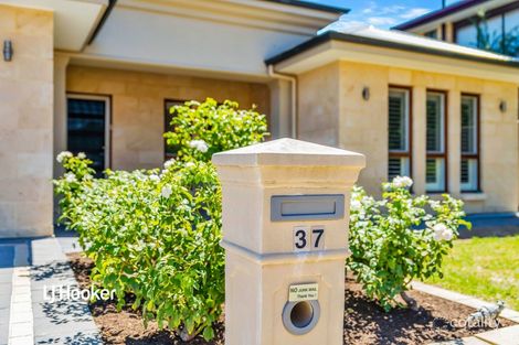 Property photo of 37 Galaxy Way Athelstone SA 5076