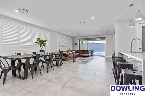 Property photo of 62 Dragonfly Drive Chisholm NSW 2322