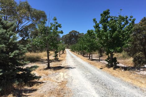 Property photo of 249 Dundebar Road Wanneroo WA 6065