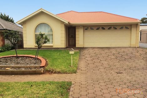 Property photo of 2B Newell Street Windsor Gardens SA 5087