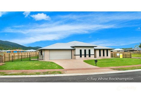 Property photo of 14 Stringybark Avenue Norman Gardens QLD 4701