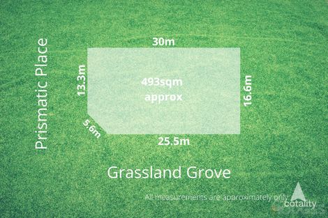 Property photo of 31 Prismatic Place Leopold VIC 3224