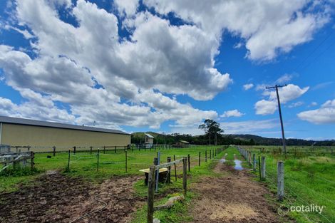 Property photo of 471 Jilliby Road Jilliby NSW 2259