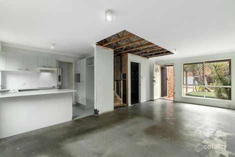 Property photo of 11/49-53 Dutton Street Coolangatta QLD 4225