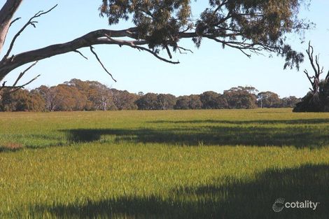 Lot 13 Broccabruna Dr, Coulta, SA 5607