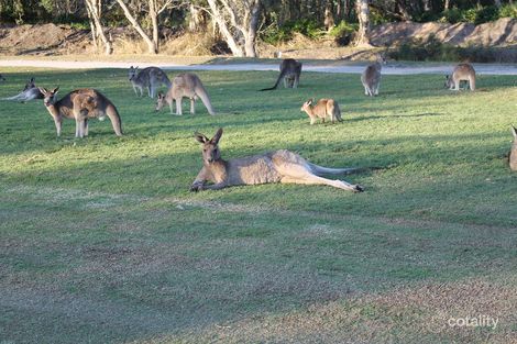 1 Little Tern Ct, Gulmarrad, NSW 2463