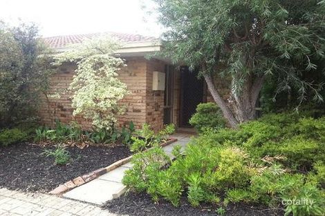 2/36 Colin Rd, Scarborough, WA 6019