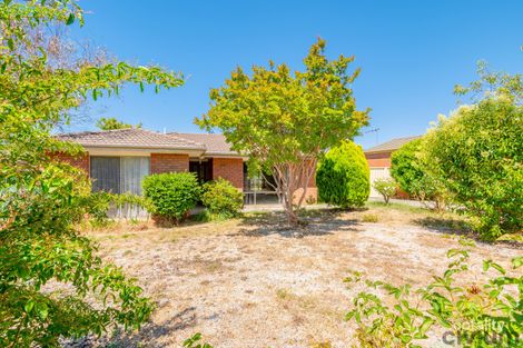 51 Jabanungga Ave, Ngunnawal, ACT 2913