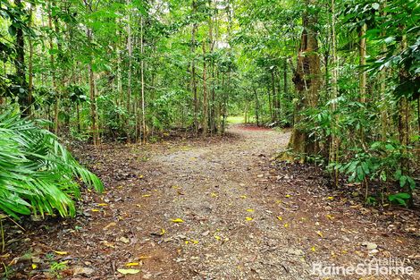 Property photo of 43 Silkwood Road Cow Bay QLD 4873