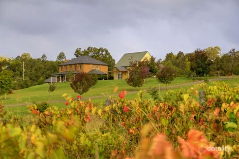 450 Mograni Creek Rd, Mograni, NSW 2422