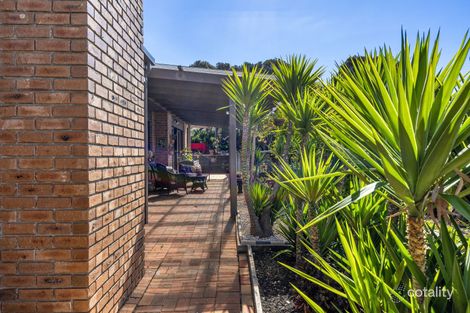 Property photo of 18 Cosgrove Street Rye VIC 3941