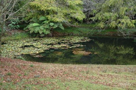 Property photo of 2756 Springbrook Road Springbrook QLD 4213