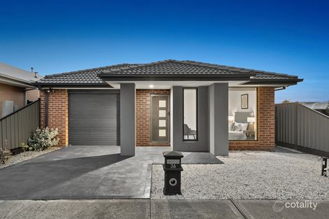 36 Angophora Cres, Craigieburn, VIC 3064