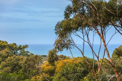 Property photo of 27 Odonohue Road Anglesea VIC 3230