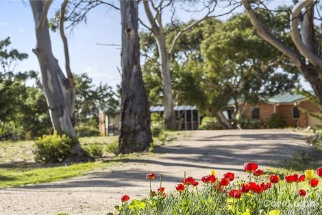 Property photo of 103 Cambria Drive Dolphin Sands TAS 7190