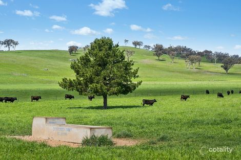593 Belgravia Rd, Belgravia, NSW 2800